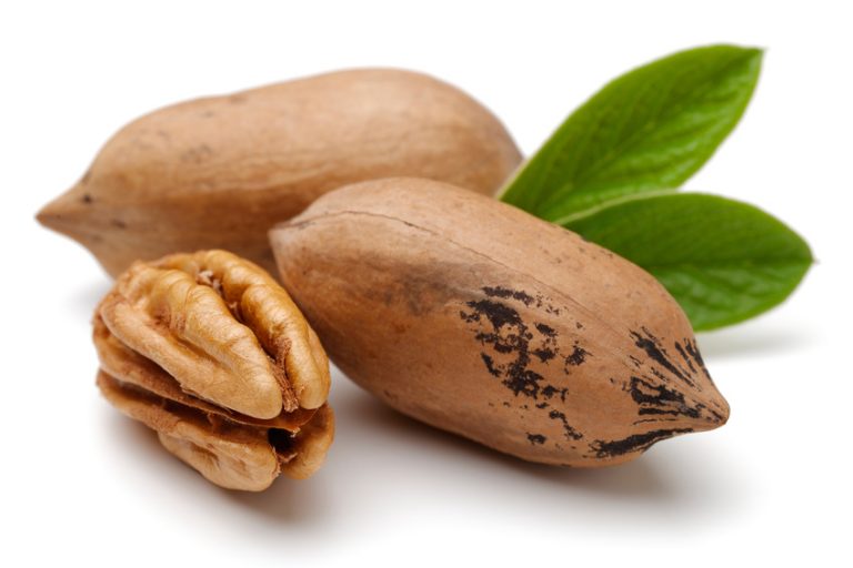 Noix de pécans Marceval